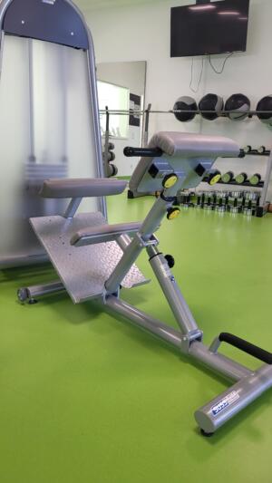 Compass 530<br>Rückentrainer MTT